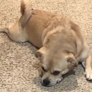 Meet your Posher, Marie